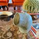 Organic green ceramic vase, France 1960s