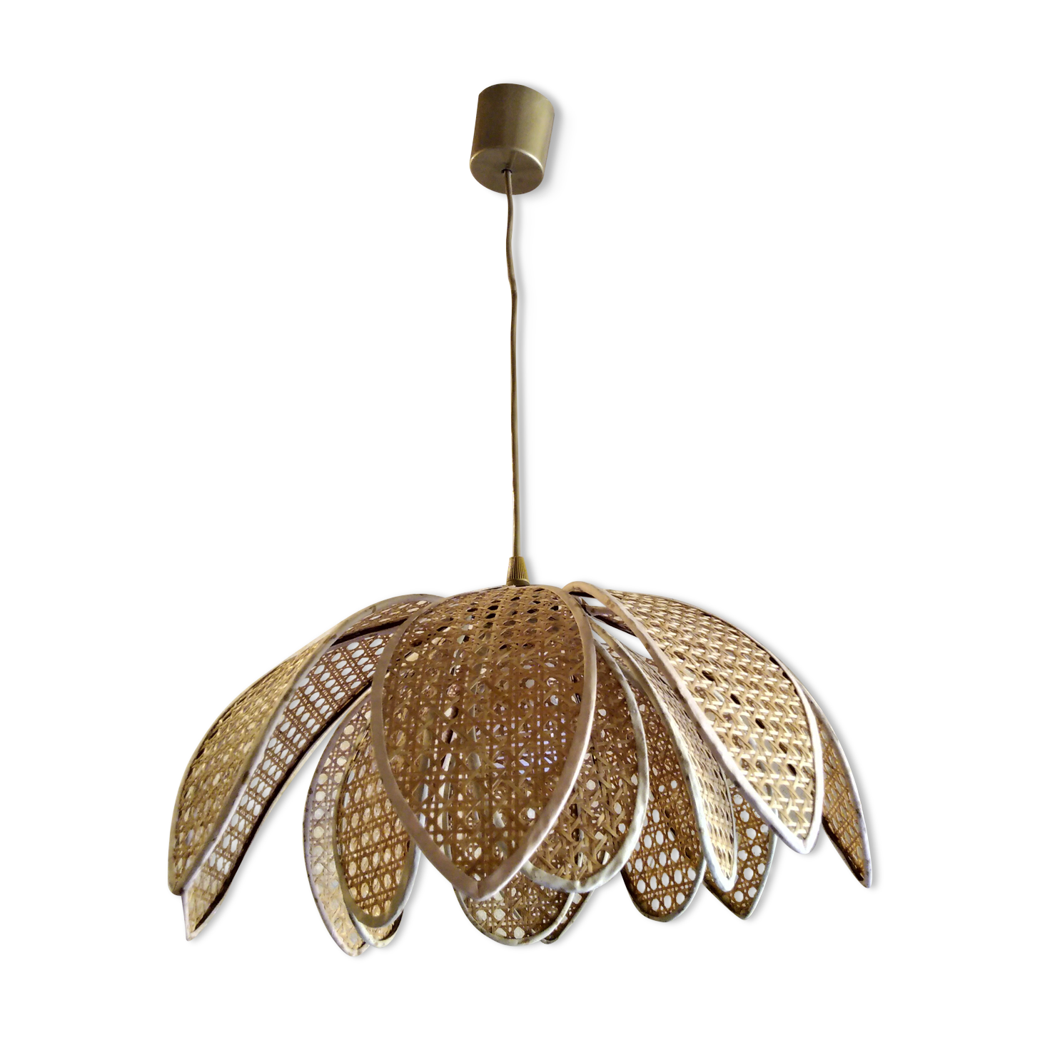 Lotus suspension in vintage cannage