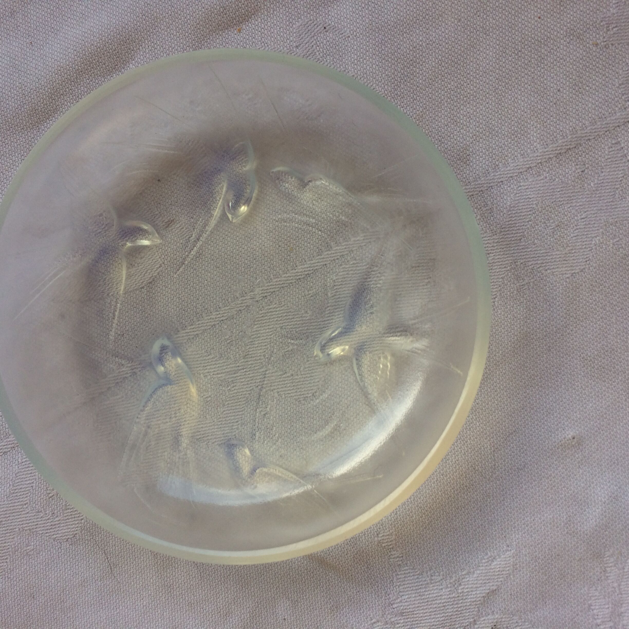 Cup signed Crystal Sabino, France, decor birds.
