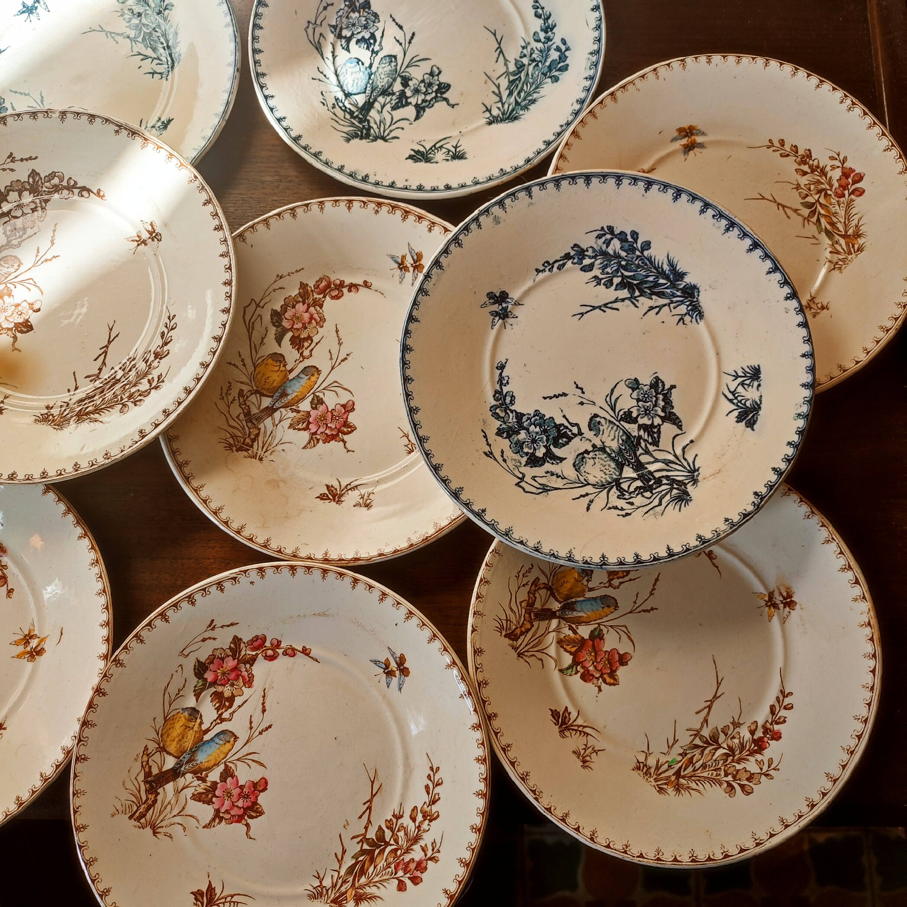 10 Lunéville earthenware plates, "Mésanges" pattern
