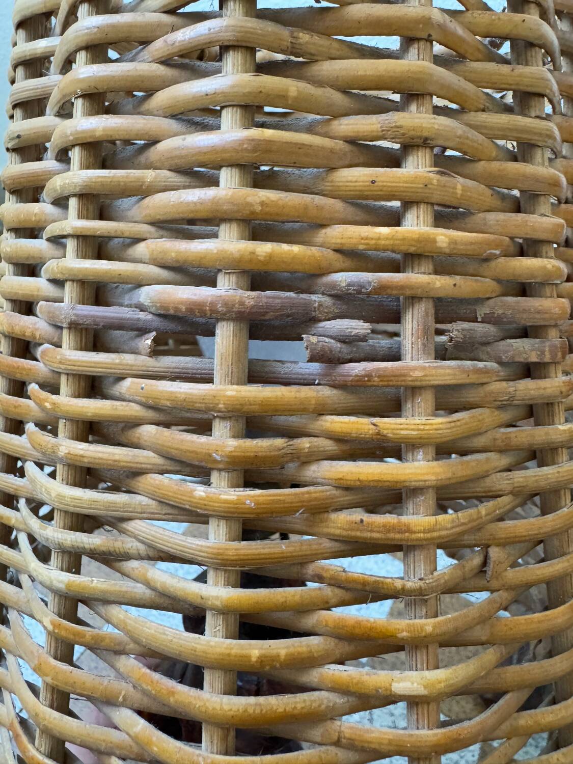 60s vine and rattan lamps (X2)