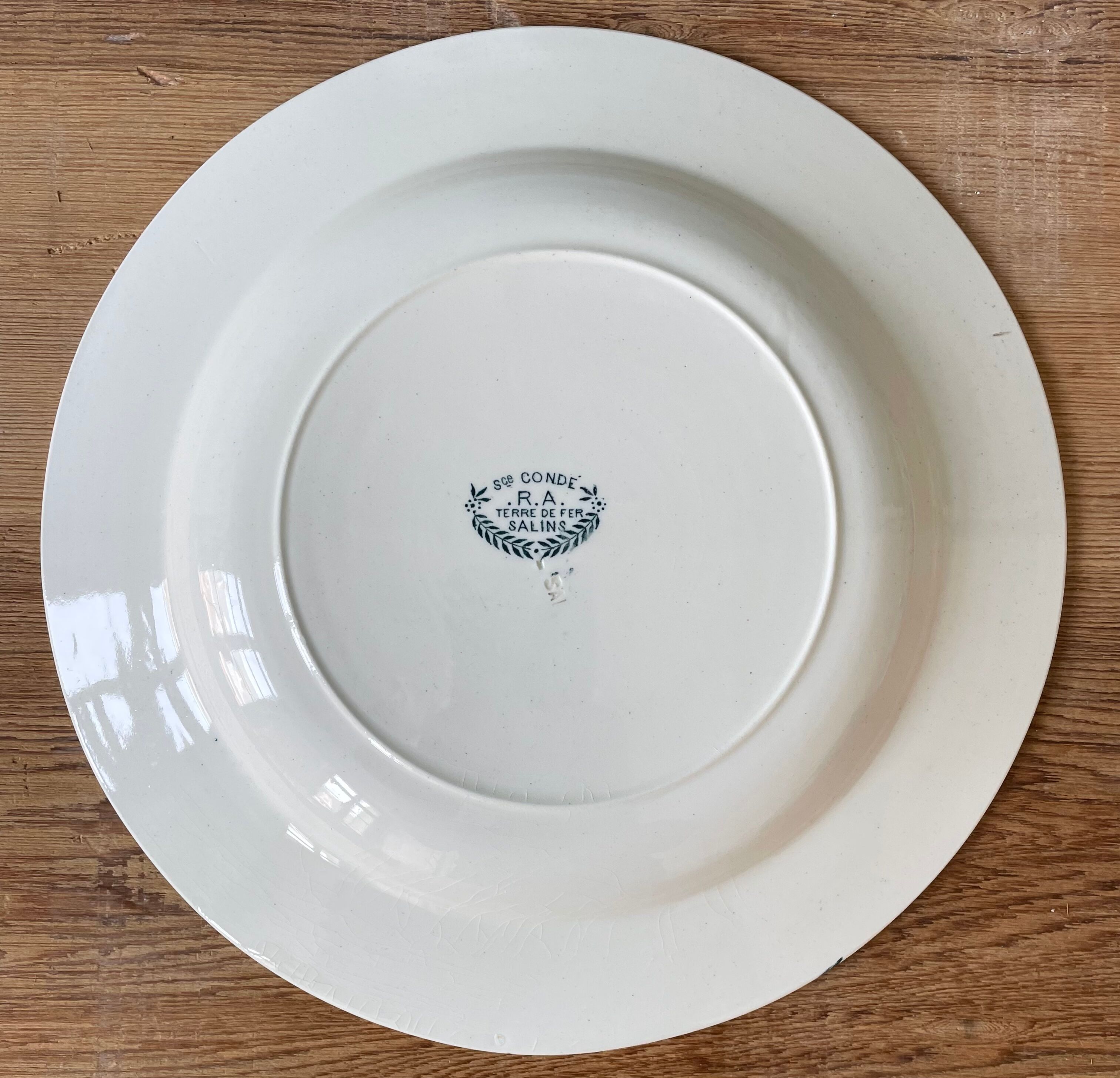 Set of 11 hollow plates Terre de Fer, Service Condé, Salins