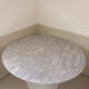 Table Tulip