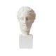 Female bust reproduction of the head of Hygieia.