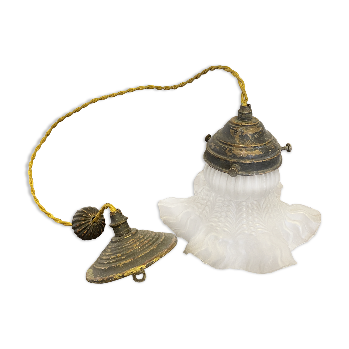 Flower suspension 1900