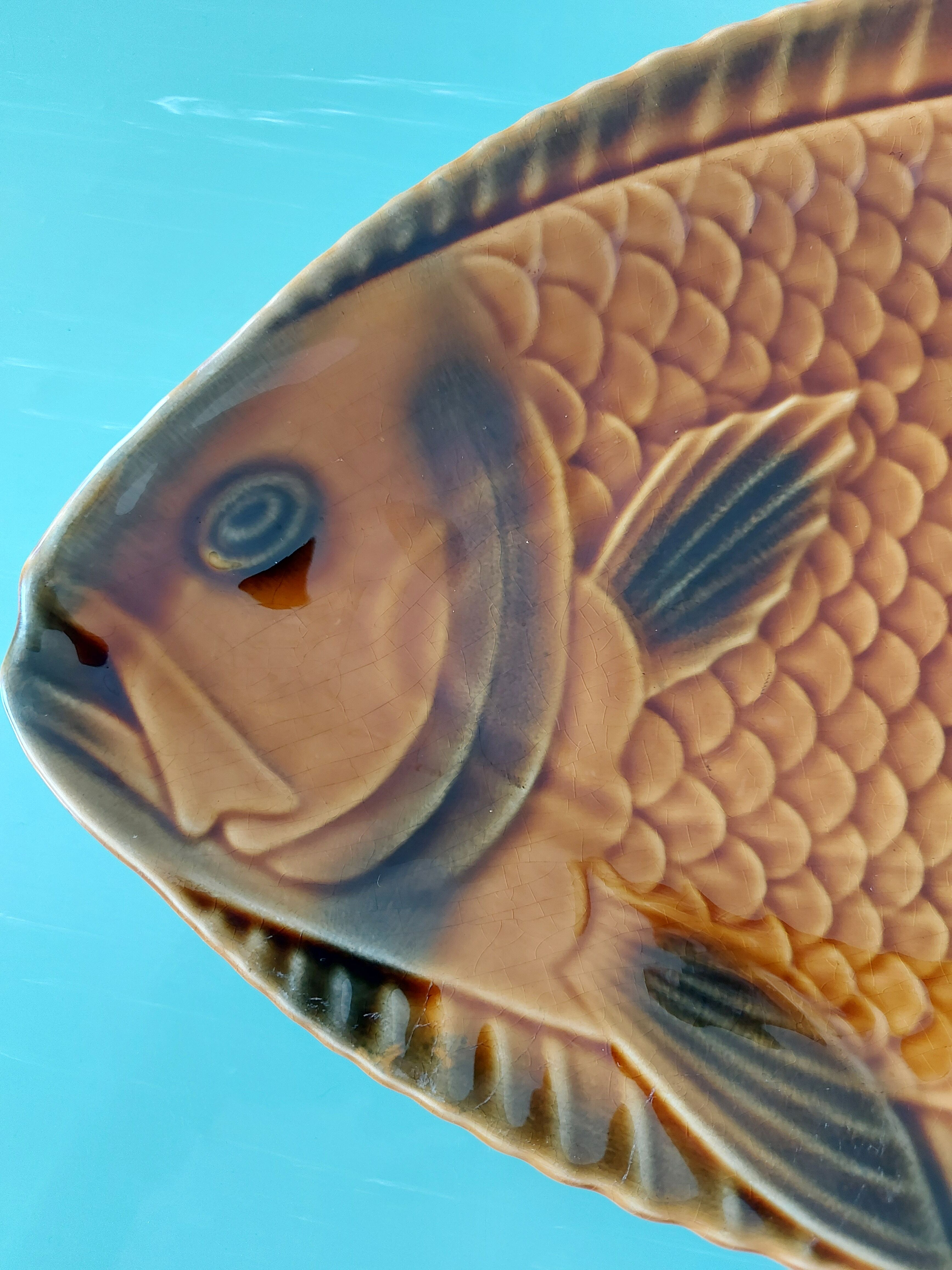 Plat poisson Sarreguemines