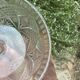 Pressed and moulded glass cheese dome