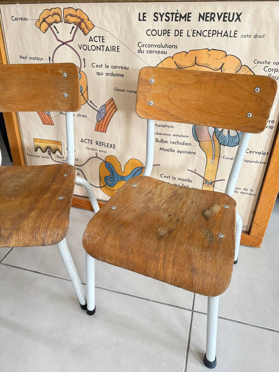 Pair of children's school chairs in wood and metal