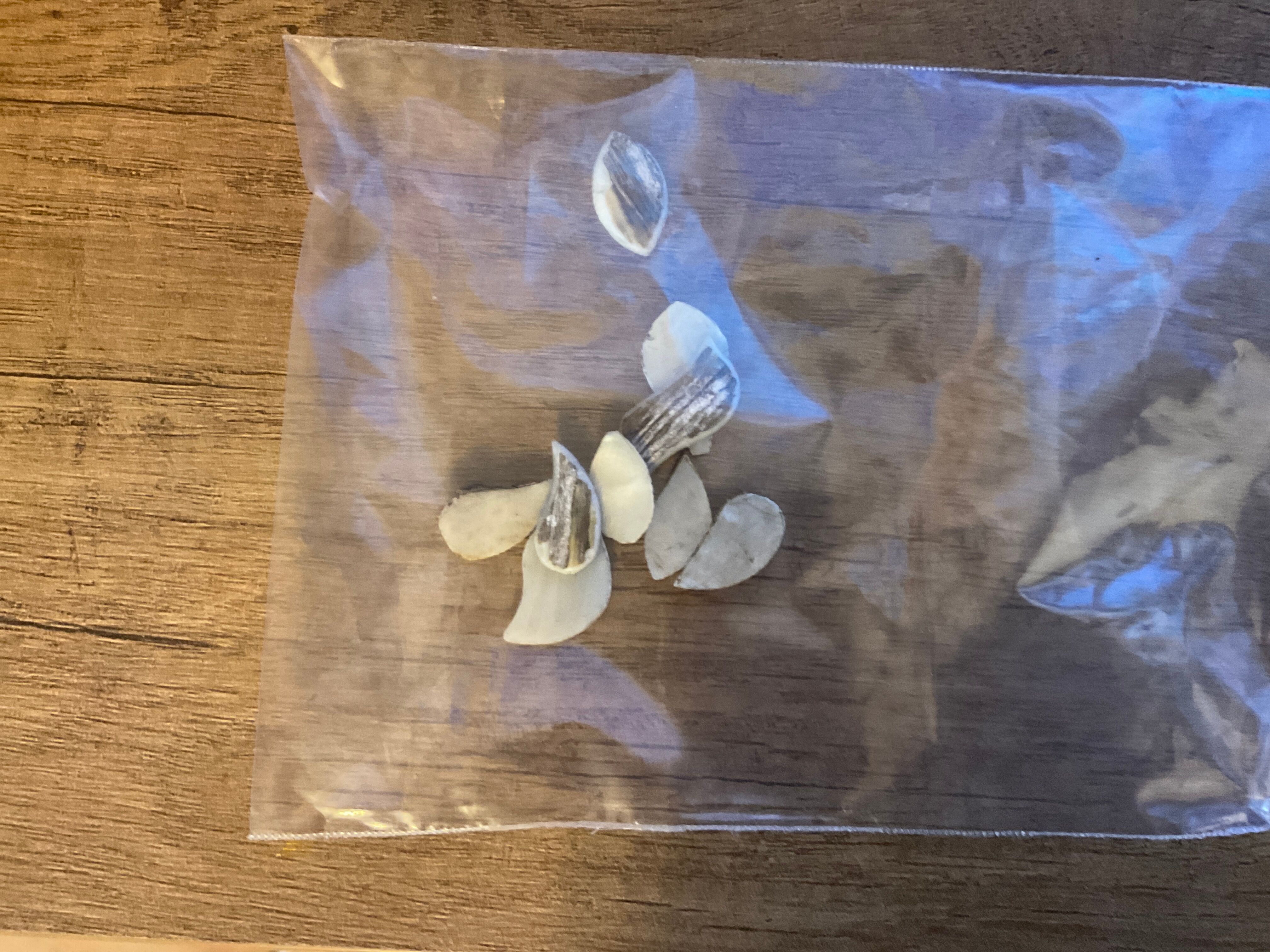 Syrian ottoman mirror in wood inlaid with mother-of-pearl called goldfisch