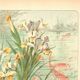 Art Nouveau engraving from 1896 - Marsh Iris and Koi Carp - by Fraipont