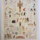 Old engraving 1928, Acrobats, Circus, show, balance • Lithograph, original illustration