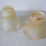 Set of 2 old tulip globes lamshades