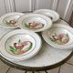 Lot of 5 hollow plates digoin sarreguemines model "rooster" years 40-50
