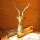 Cerf laiton massif