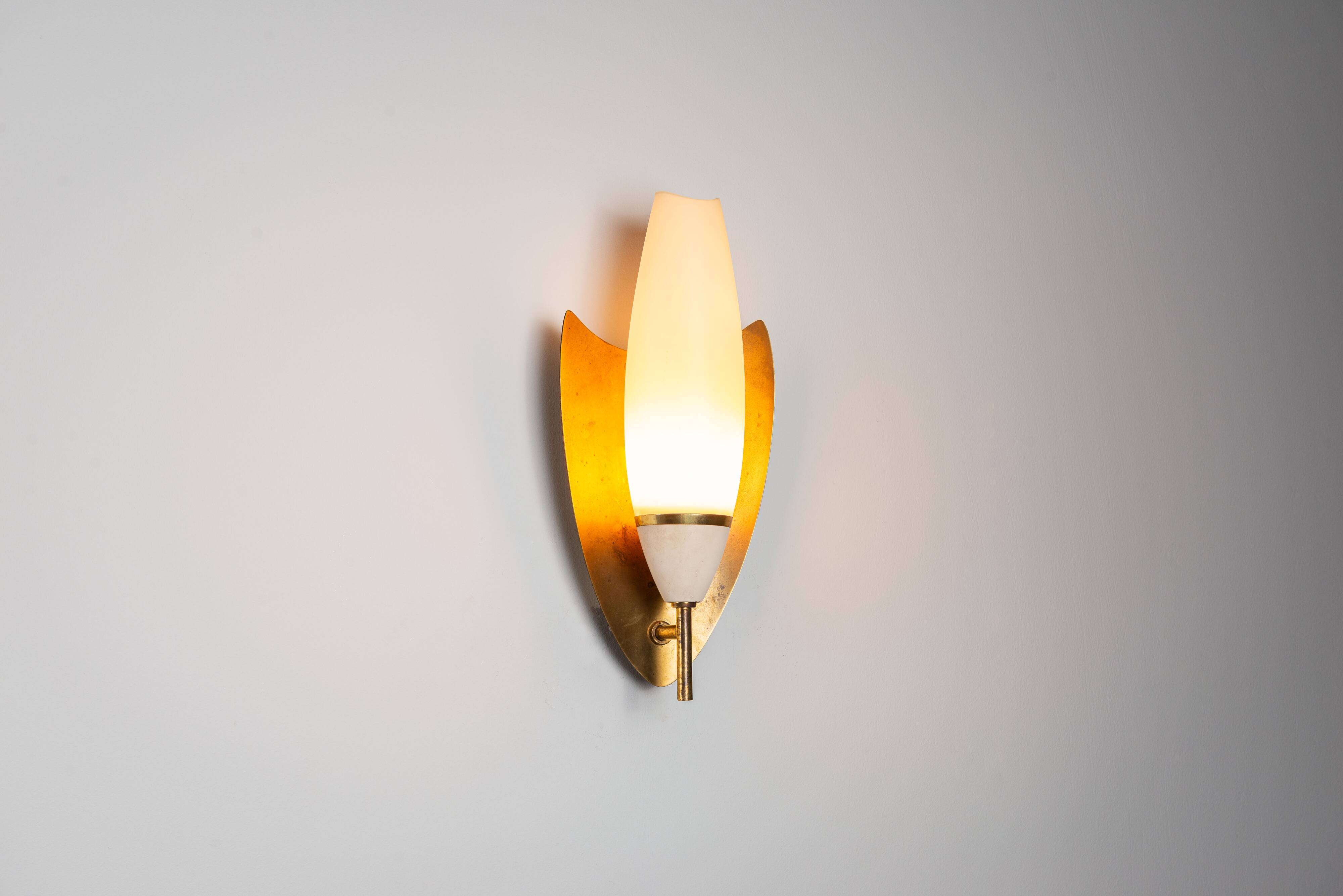 Pair of wall lamps with brass shields and glass shades