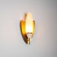 Pair of wall lamps with brass shields and glass shades