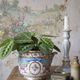Old Limoges porcelain bowl/pot, hand-painted, M. Carpezat, 1900-1930