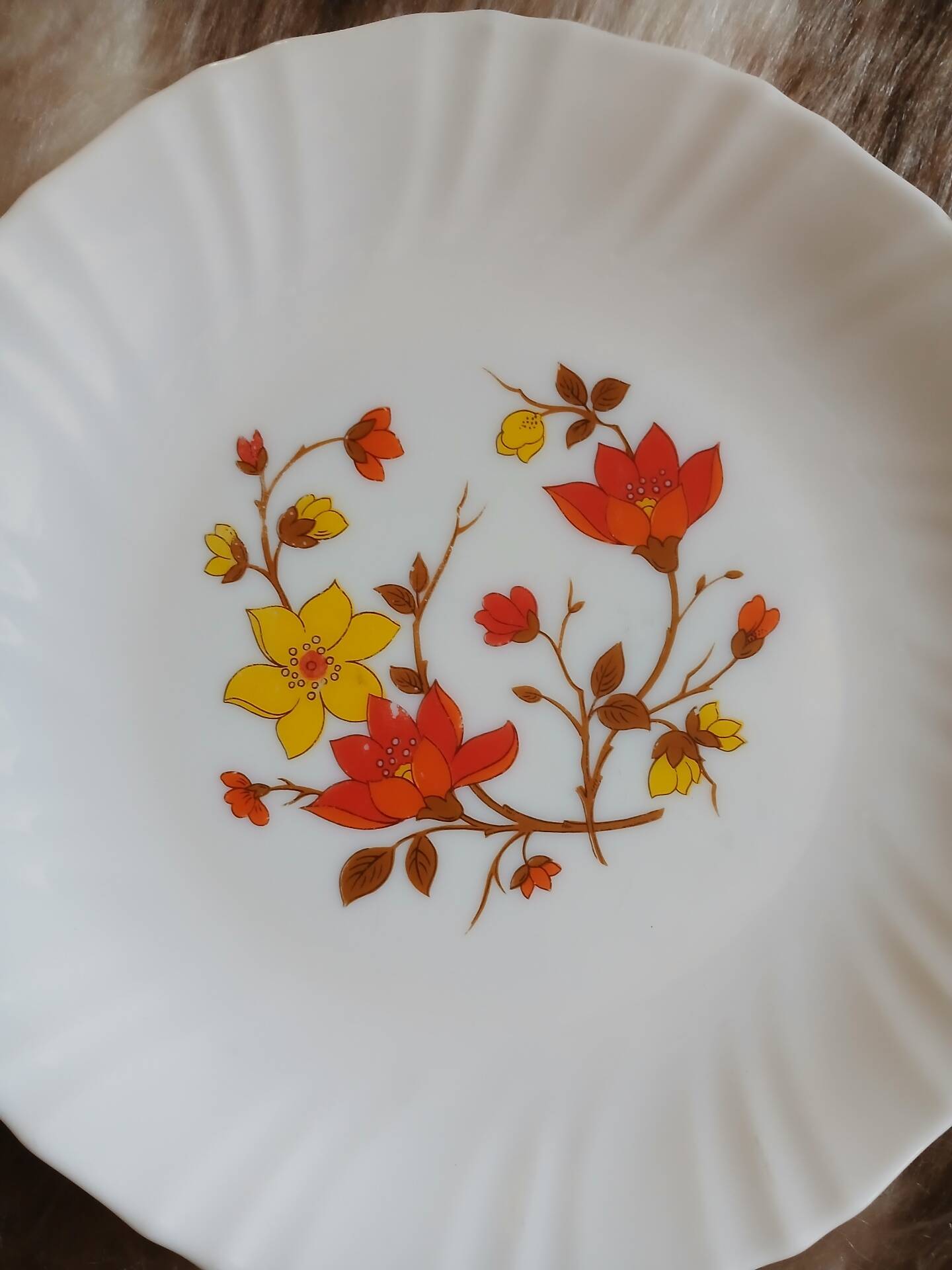 6 vintage dessert plates in Arcopal