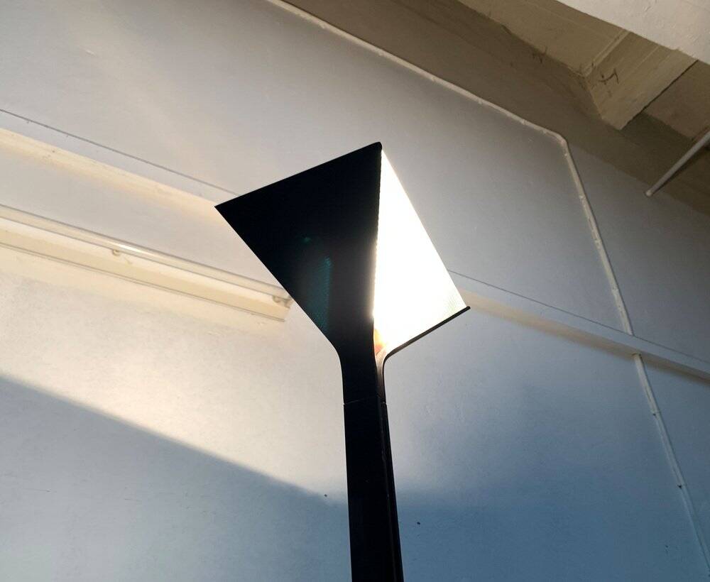 Vintage Space Age Papillona Floor Lamp by Afra & Tobia Scarpa for Flos, 1970s