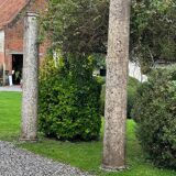 Pair of istrian stone columns, venice 16th century