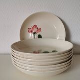 Villeroy and Boch soup and deep plates, rose pattern
