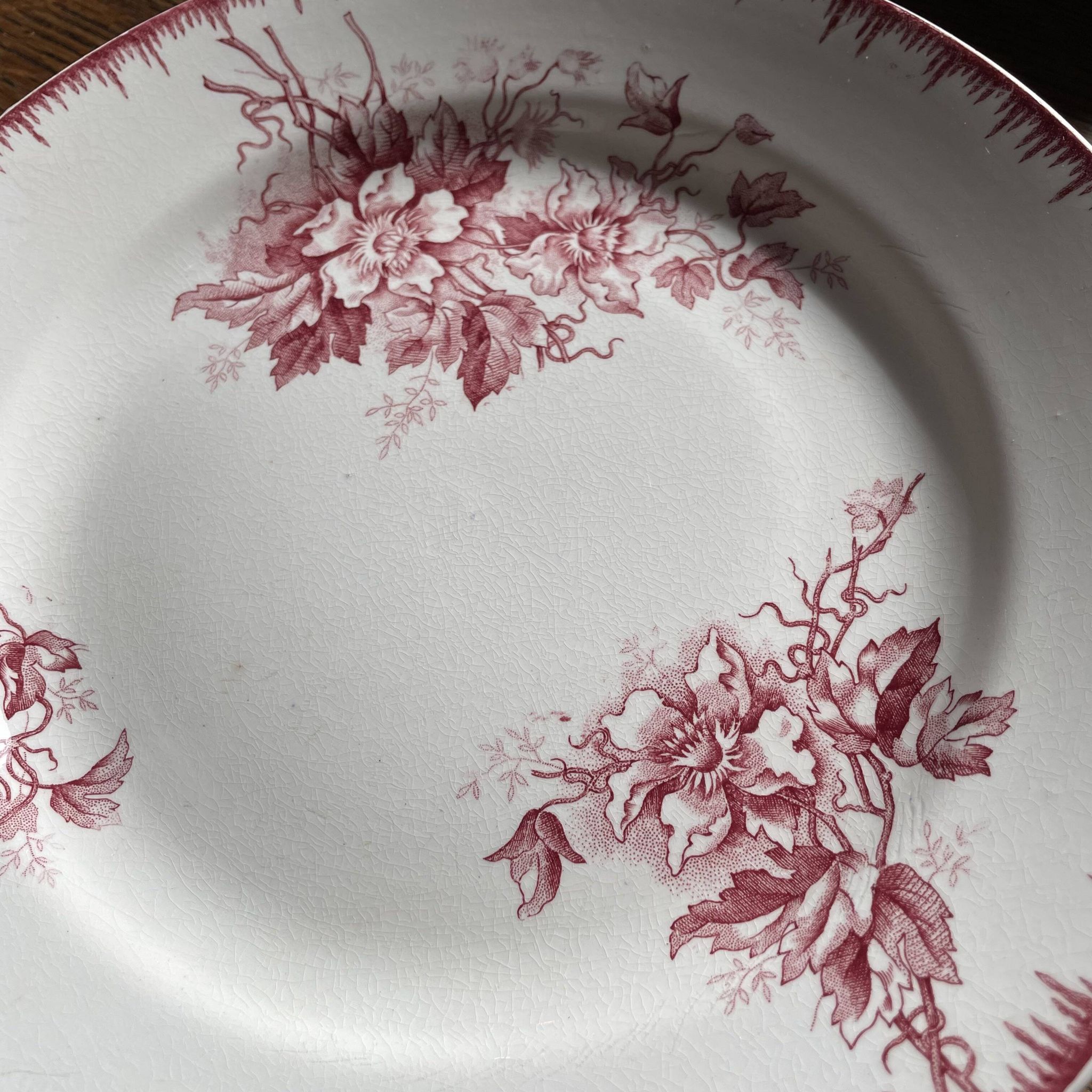 Set of 4 Maastricht earthenware dinner plates