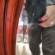 Old oval walnut wood mirror has flower carvings decoration