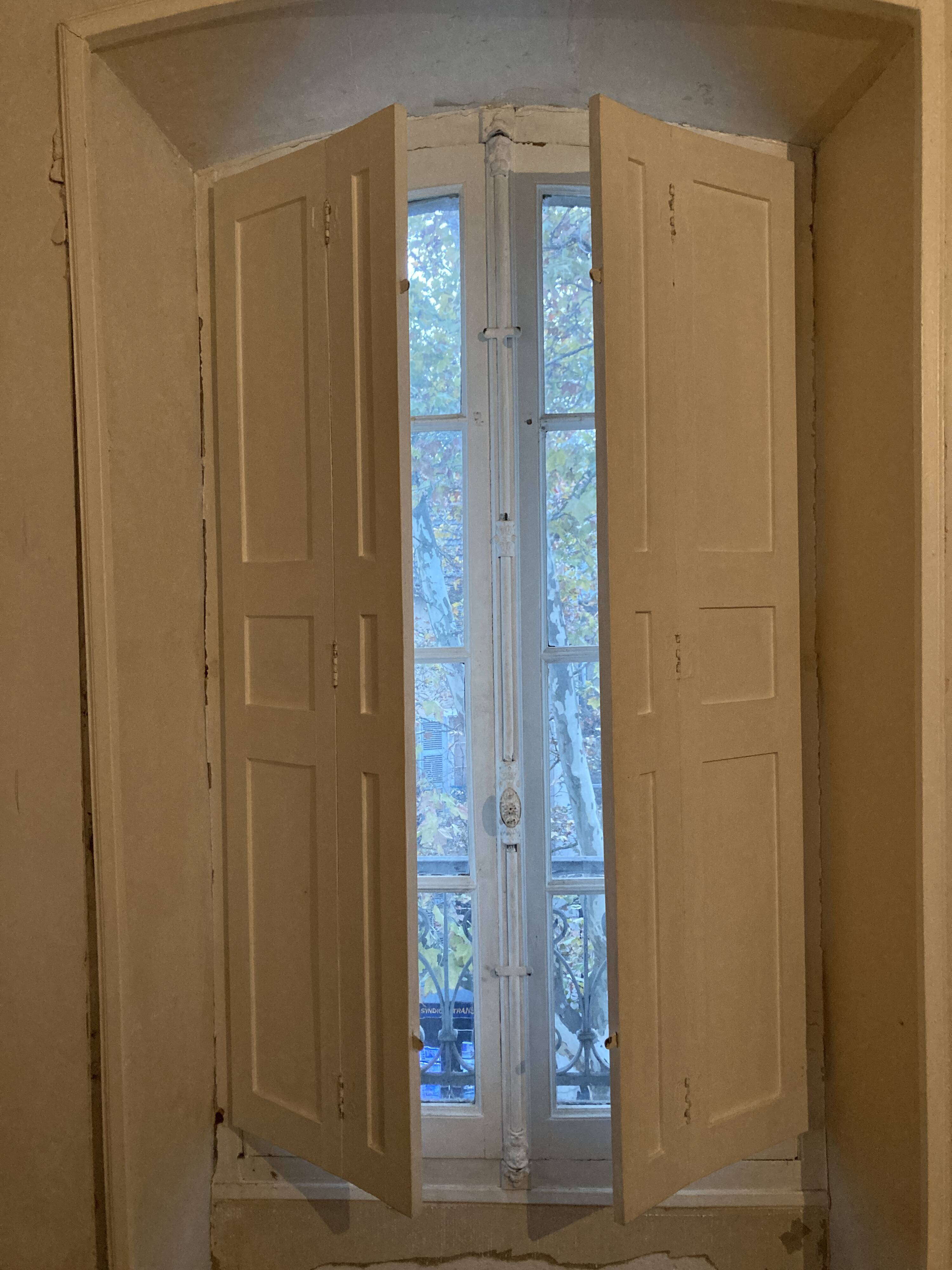 Window with interior shutters