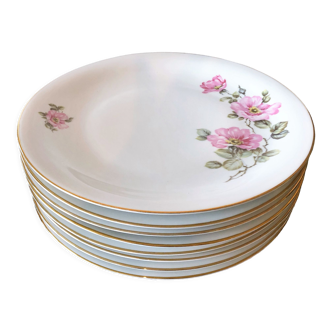 8 assiettes porcelaine allemande Johann Seltmann Vohenstrauß