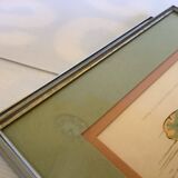 Pair of framed bird illustrations
