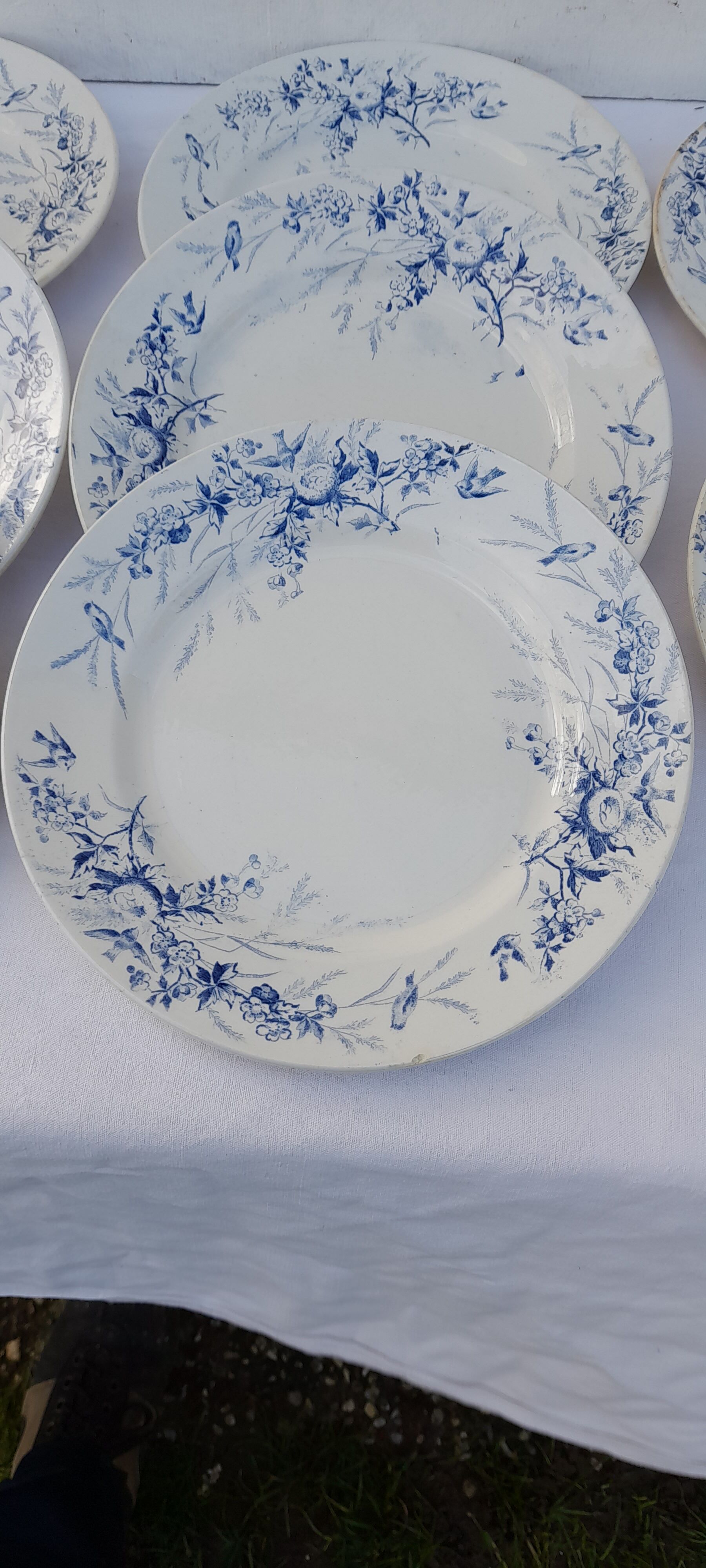 8 flat earthenware plates Creil and Montereau late nineteenth diam 23 cm