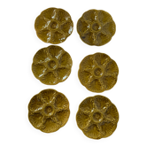 Assiettes à huîtres