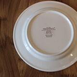 6 plates Villeroy and Boch Botanica