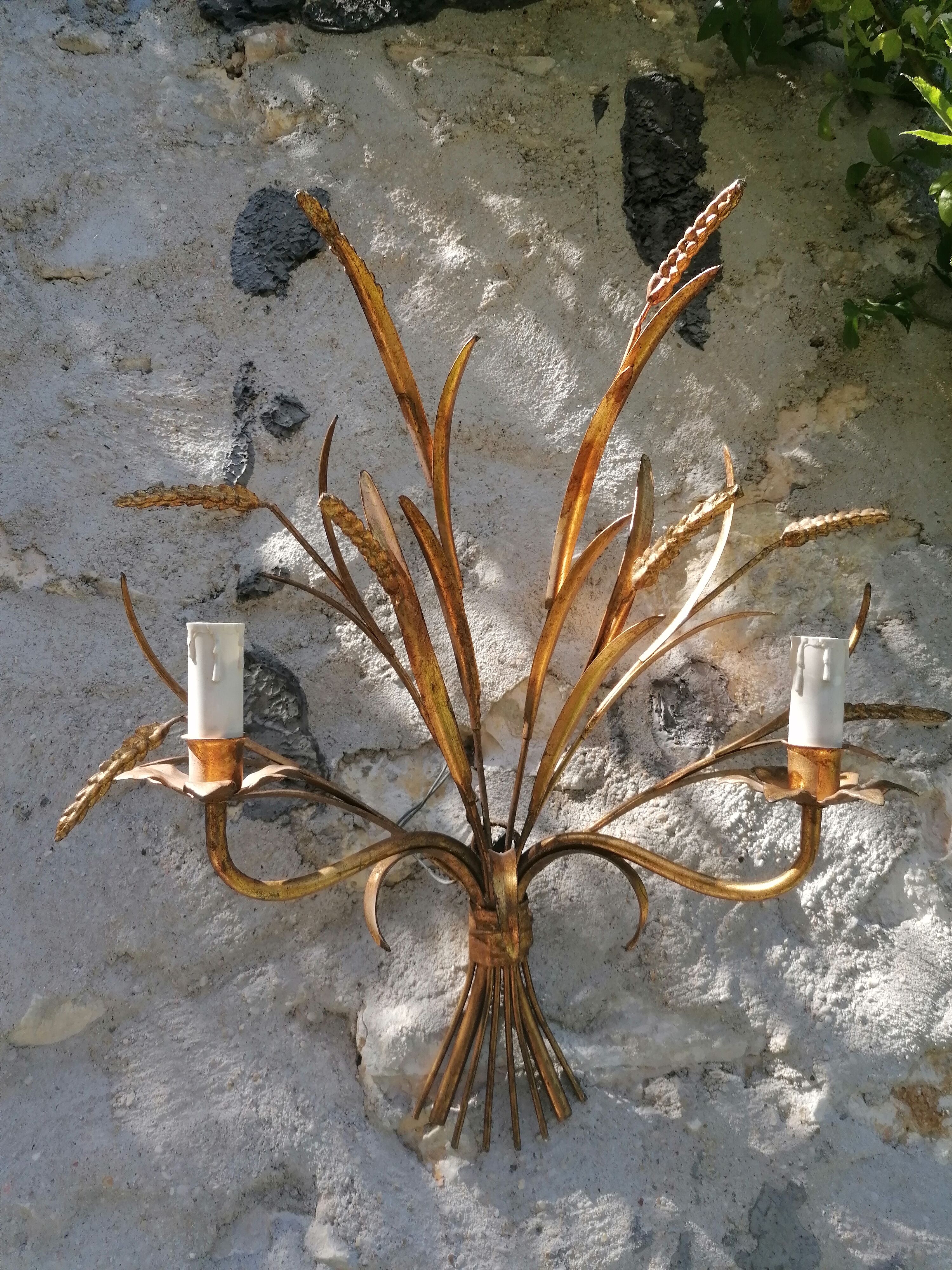 Applies in ears of ble