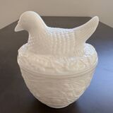 Opaline chicken box