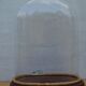 Old wedding glass globe
