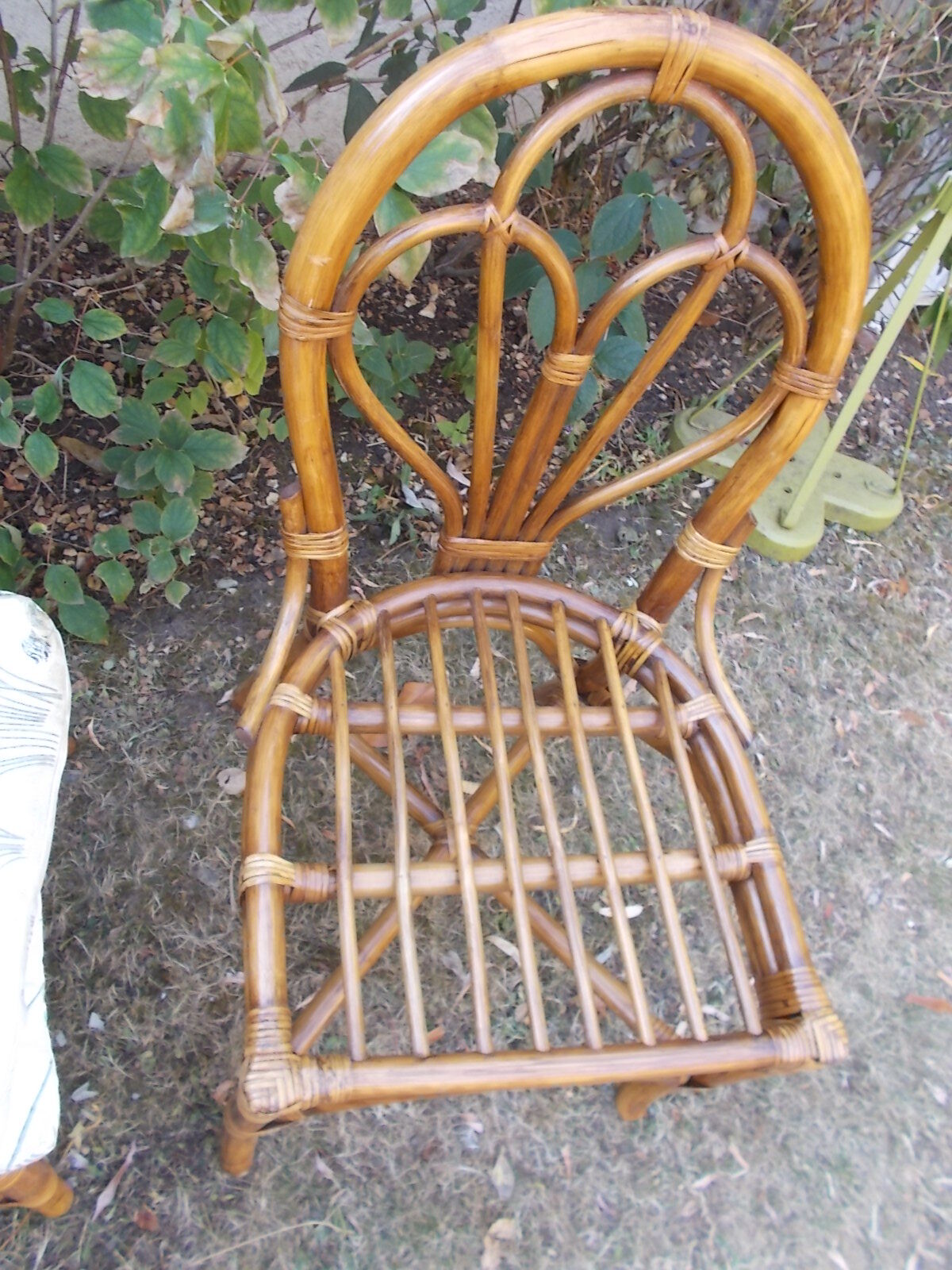 Rattan chairs