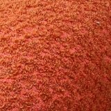 F598 Groovy 'M' chaise in orange/red bouclette by Pierre Paulin for Artifort, 1980