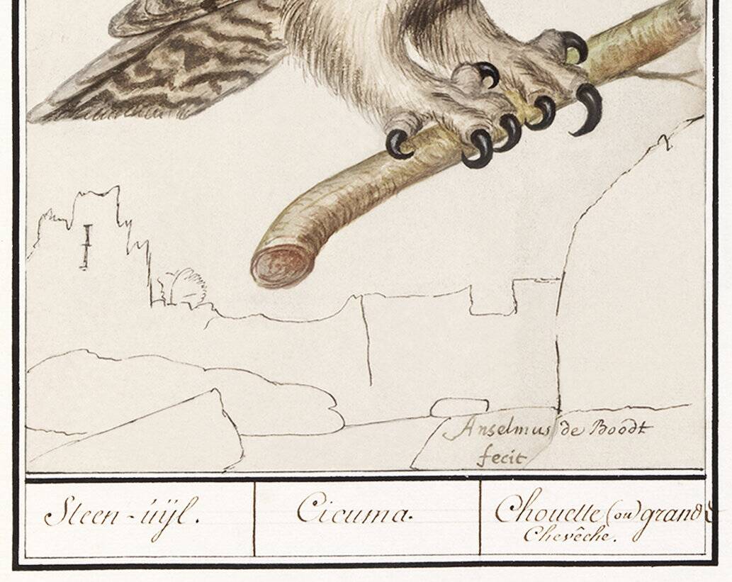 Small poster about the Owl, after an old engraving from 1610.