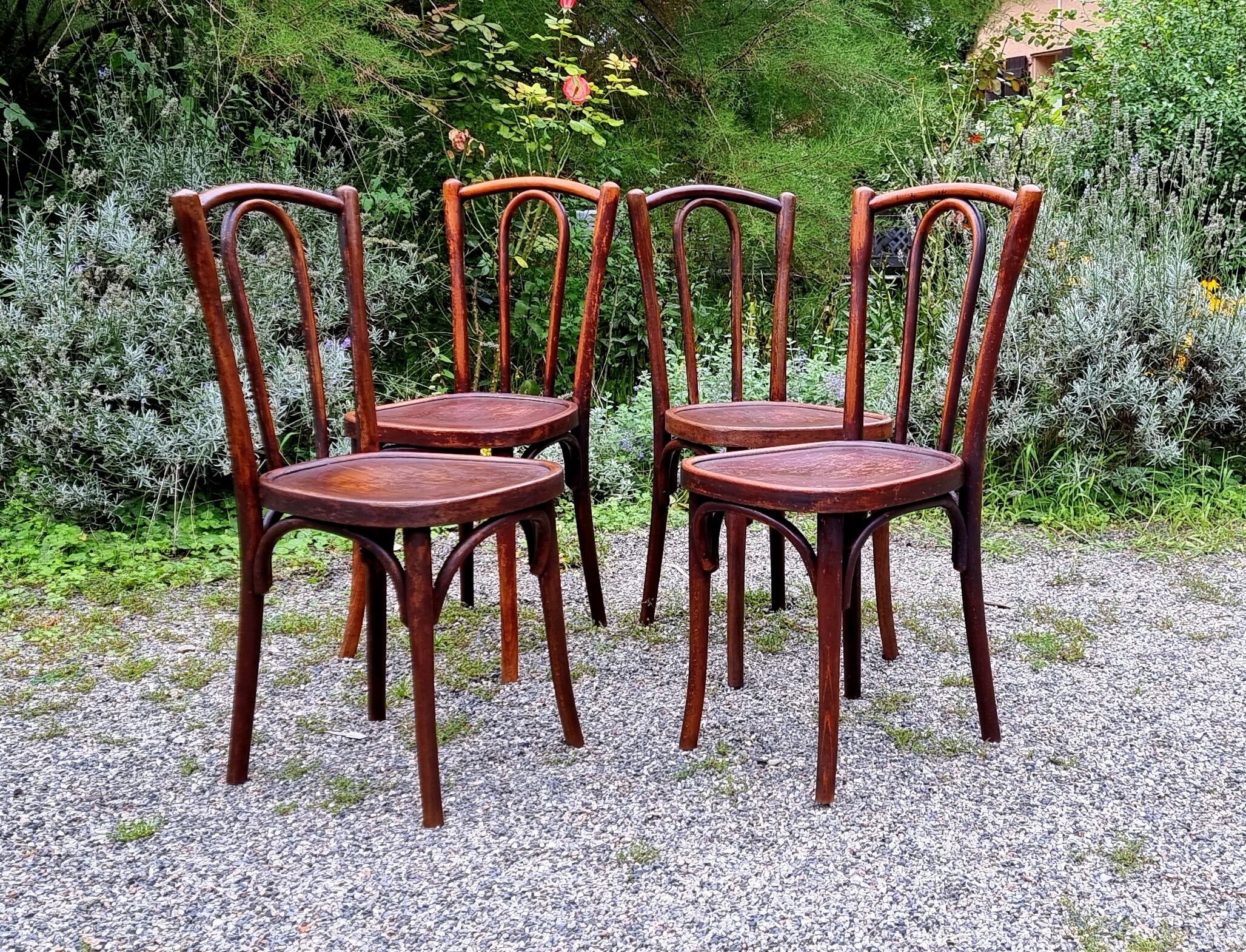 4 chairs bistrot type n°56 years 30