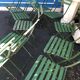 14 chaises pliantes de jardin