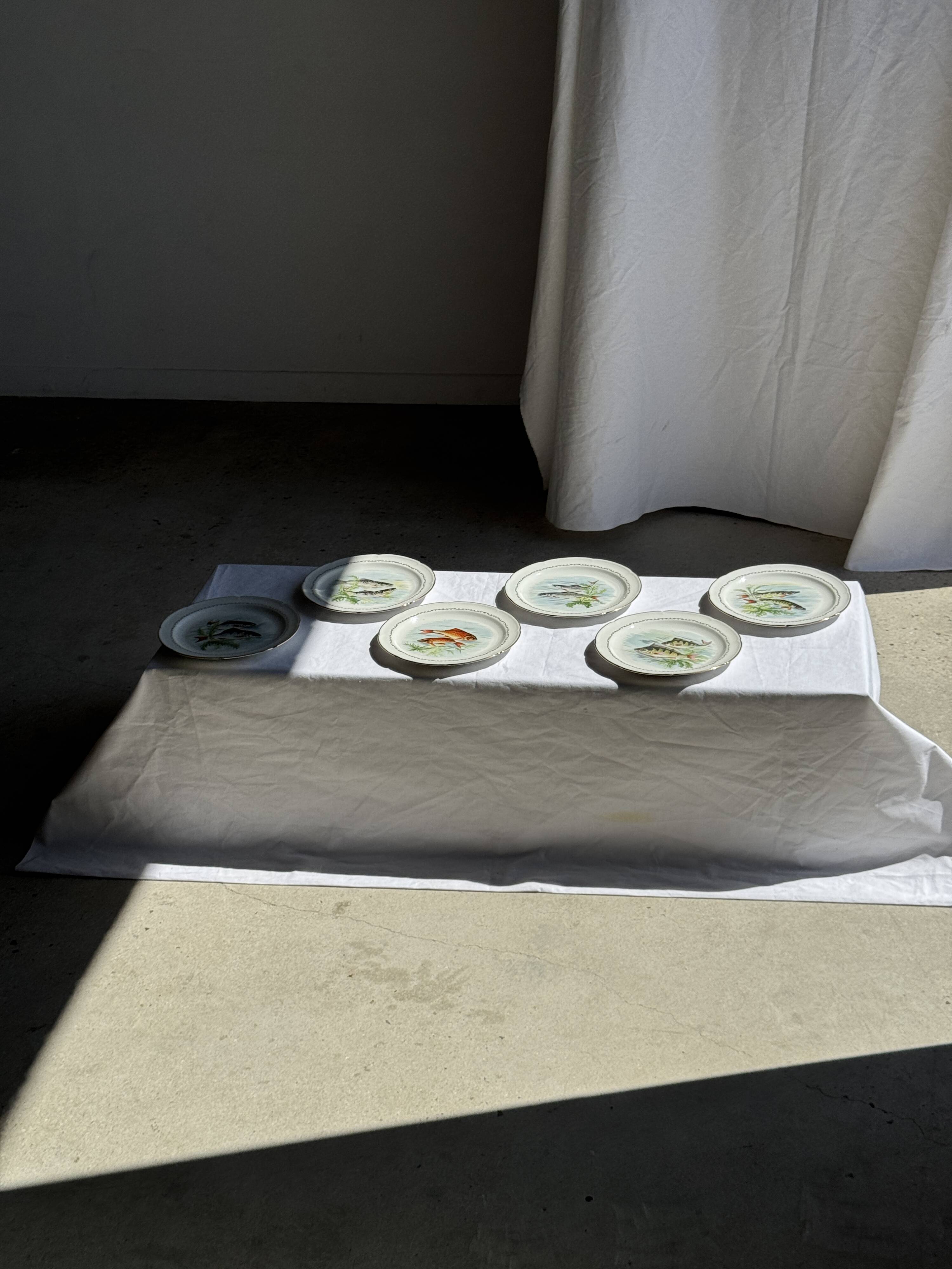 Set of 6 vintage Limoges porcelain plates with fish design.