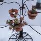 Vintage seven-light terracotta metal candlestick