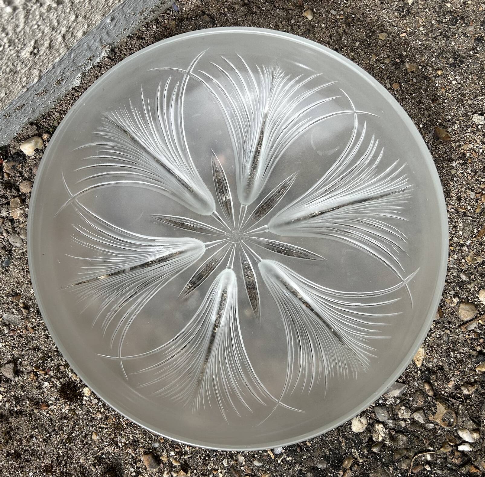 Coupe en verre Verlys