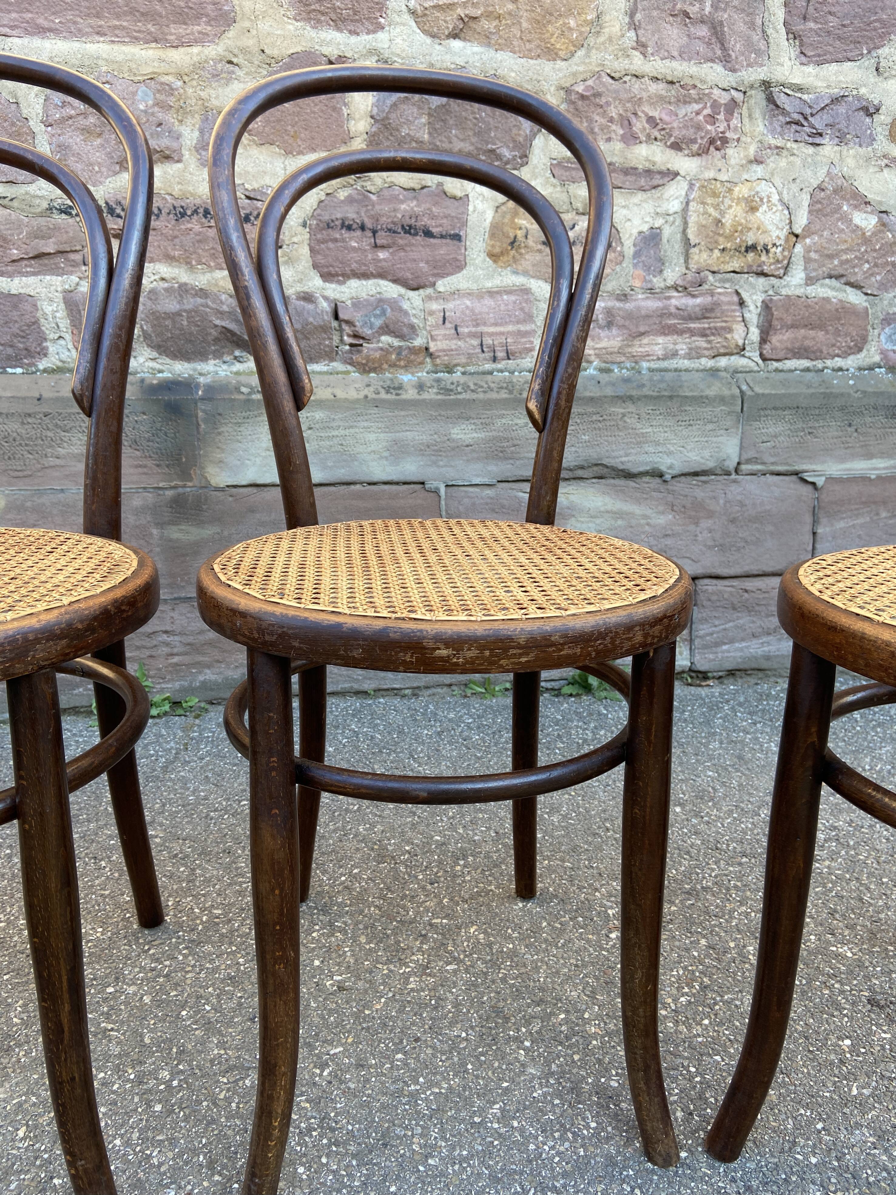 4 curved wood chairs Fischel Nr 14