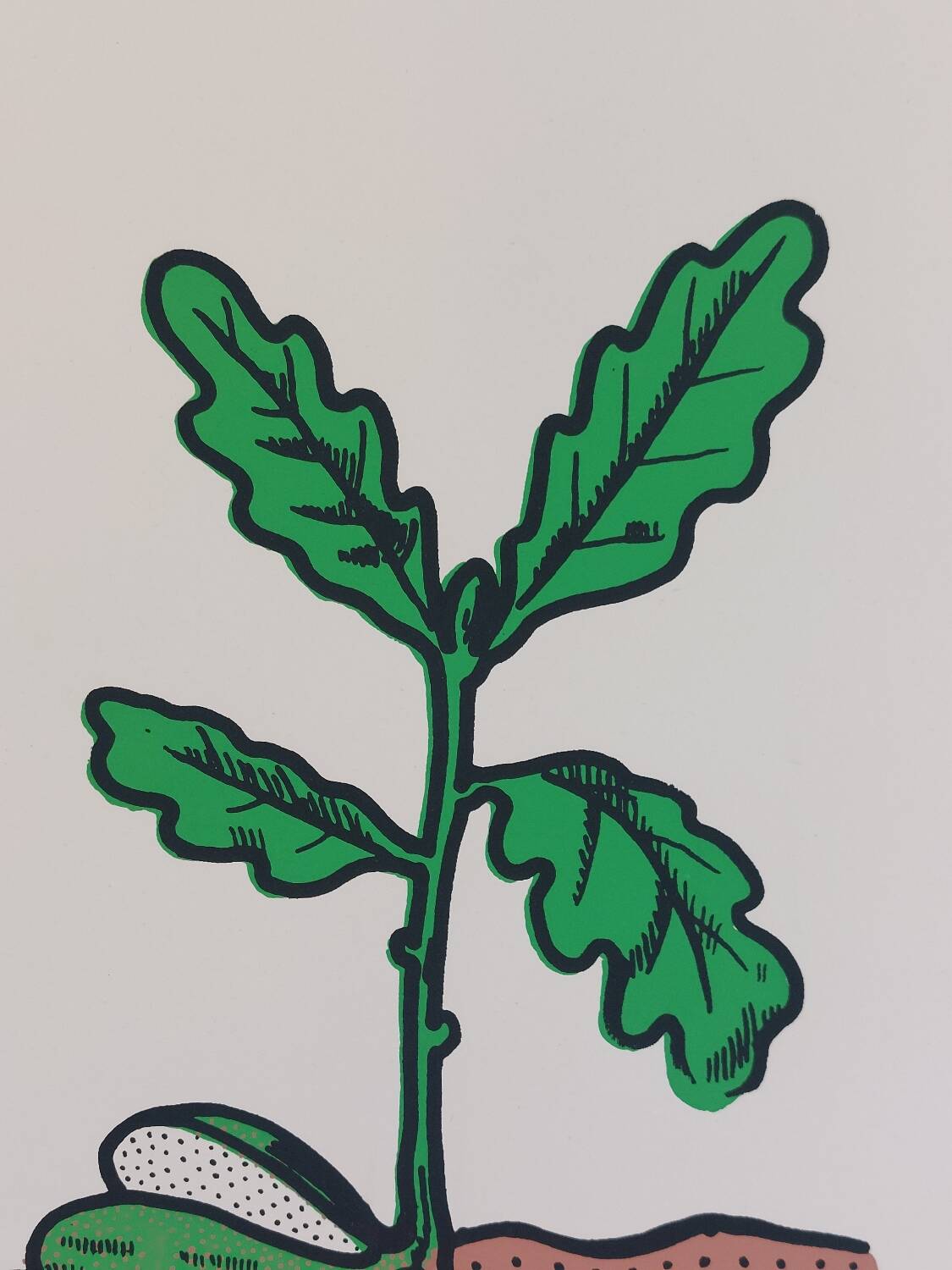 Vintage educational wall hanging roll chart biology oak
