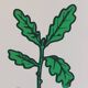 Vintage educational wall hanging roll chart biology oak