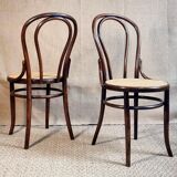 Pair of chairs bistrot Fischel n°18 of 1900 ca