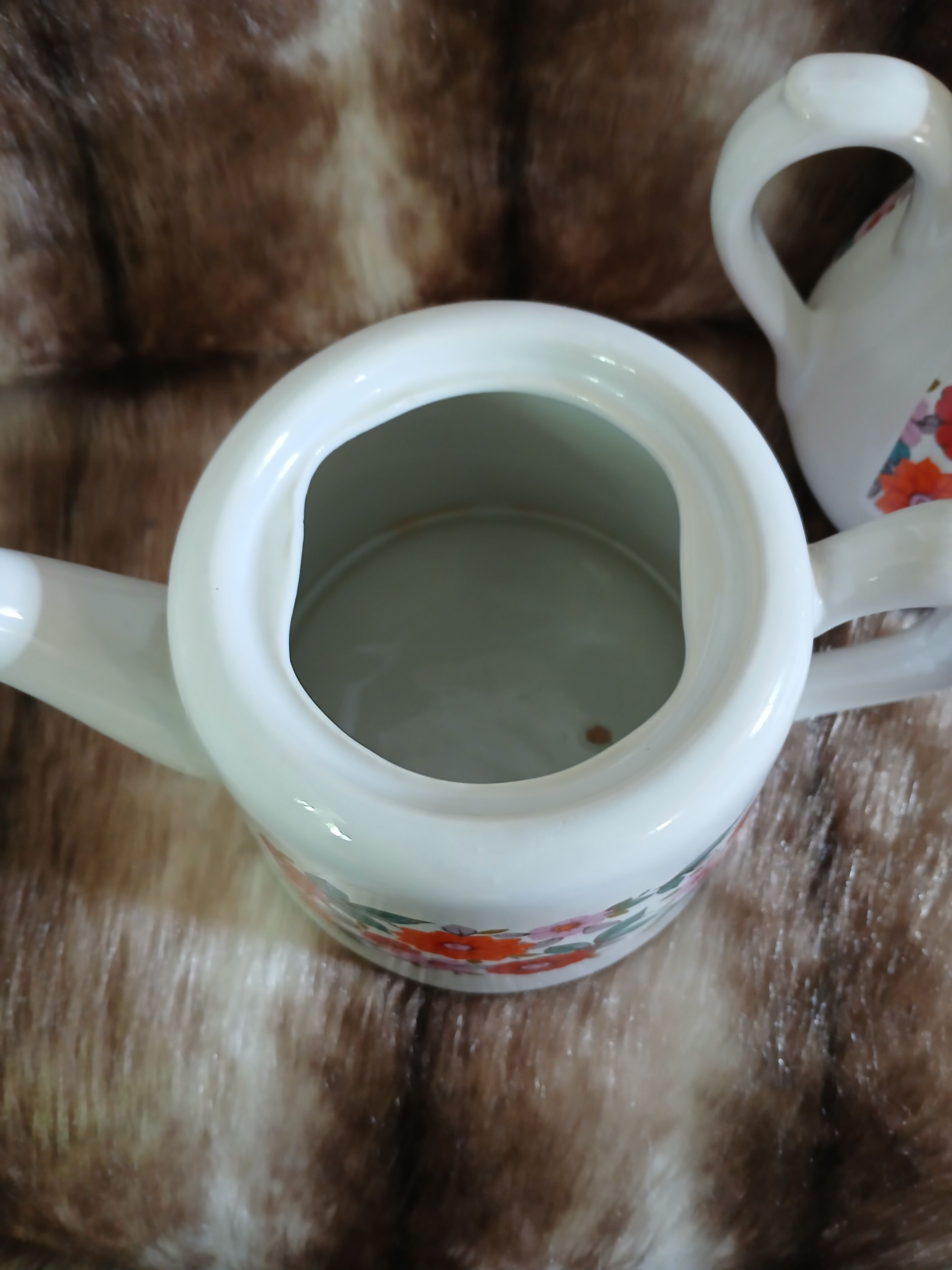 Vintage coffee pot + milk jug