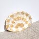 Shell tray in mother-of-pearl and brass